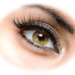REHAUSSEMENT_CILS