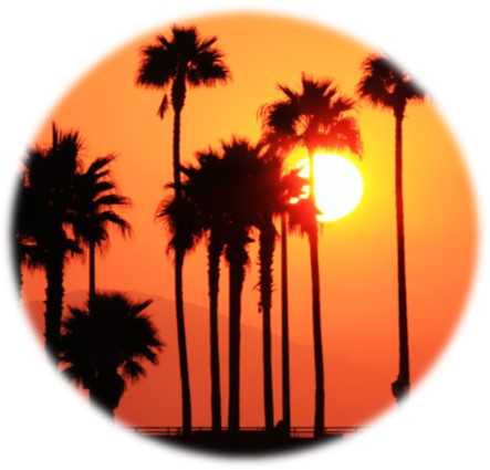 massage-californien-domicile